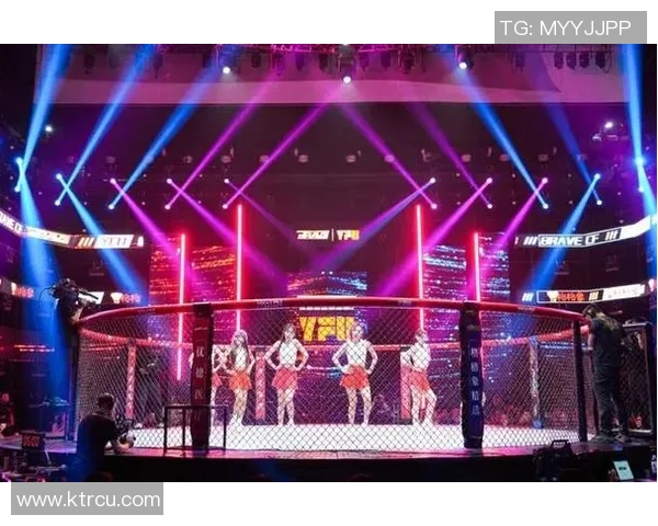 热血沸腾的格斗盛宴街头霸王V在EVO大赛中展现拳拳到肉的激情对决